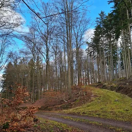 In Steinbach-hallenberg, Cleaning Included Casa vacanze *